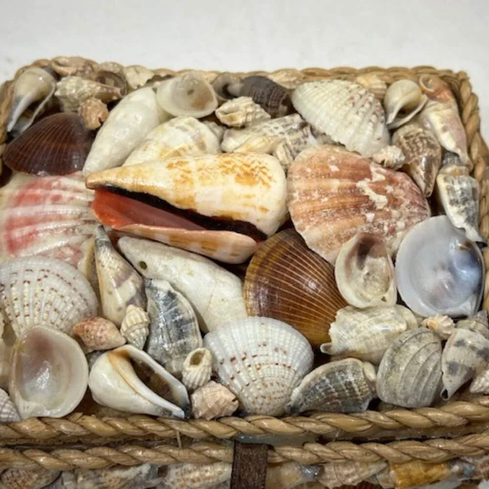 VTG Nautical Coastal Shell Encrusted Trinket, Jewelry Box, Sailor Valentine Box